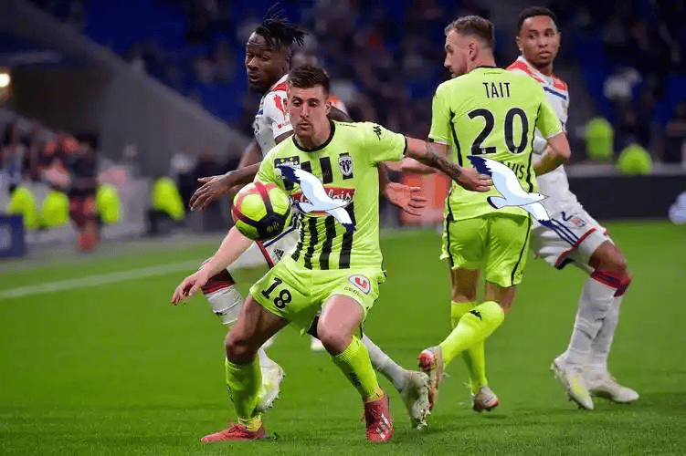 开云中国-法国南特足球俱乐部